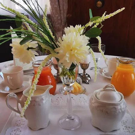 Hotel Adler 3*
